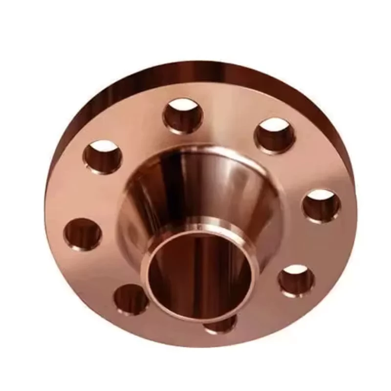 Copper Nickel Class 300 3 4 5 6 Inch RF RTJ ASTM Forged TH WN so BL Cuni C70600 Flanges