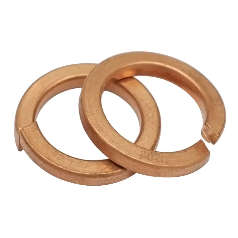 M3 M24 DIN 127 Phosphor Bronze Spring Lock Washers